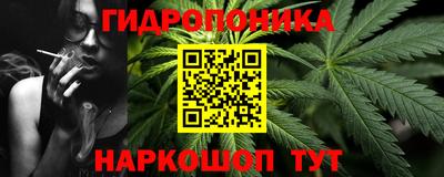 прущие грибы Гусиноозёрск
