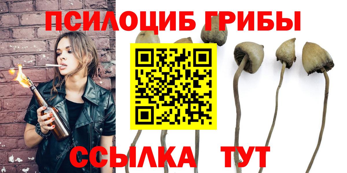 Менделеевск  Псилоцибиновые грибы мухоморы  Вход с VPN  Псилоцибиновые грибы мицелий 