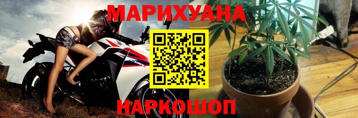 Канабис семена Менделеевск